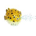 thumbnail image 1 of Safari Ltd Incredible Creatures Pufferfish, 1 of 4