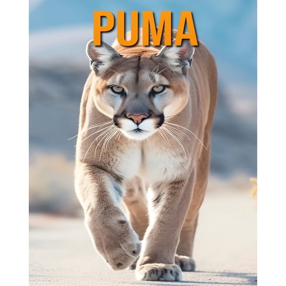 Puma: The Essential Guide to This Amazing Animal with Amazing Photos, (Paperback)