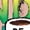BLUSH, variant on - Be Kind Coffee - Juniors Cropped Graphic T-Shirt