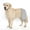 Left Leg-Grey, variant on Supet Dog Rear Leg Sleeve for Licking Prevention, Non-Slip Design, TPLO Surgery Recovery, Wound & Skin Protection, Breathable Soft Fabric