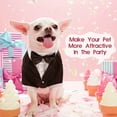 thumbnail image 6 of Dog Clothing Pet Suit Pet Wedding Dress Pet Black Wedding Jacket, 6 of 6
