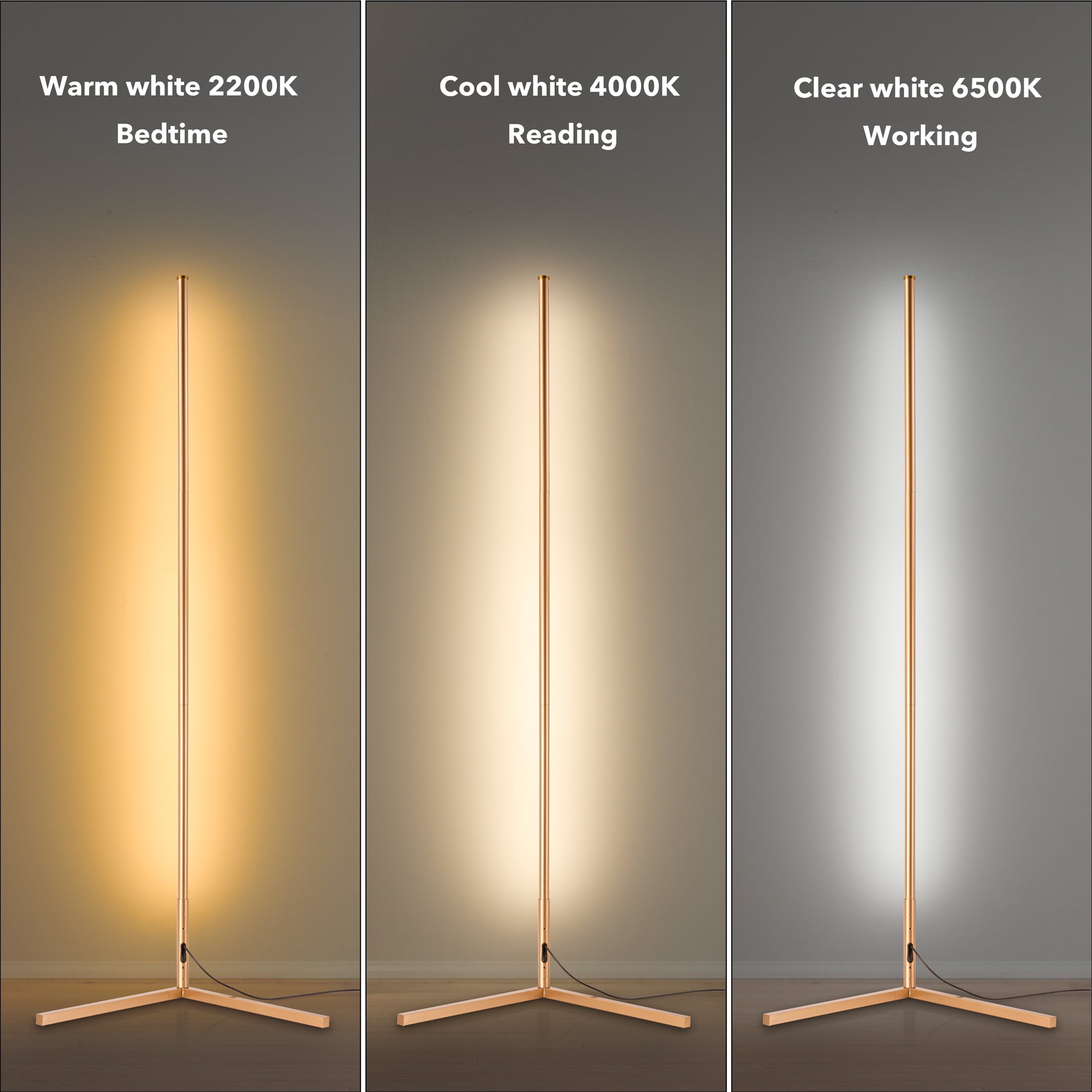 EP Light Modern LED Floor Lamps with Remote for Living Room, Dimmable, 56 inch Minimalist Standing Lighting for Bedroom, Office, Gold，2 Packs