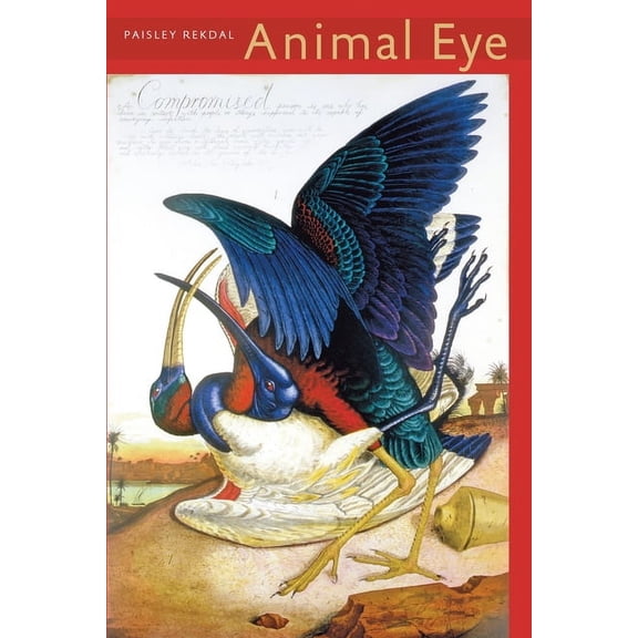 Pitt Poetry Animal Eye, (Paperback)