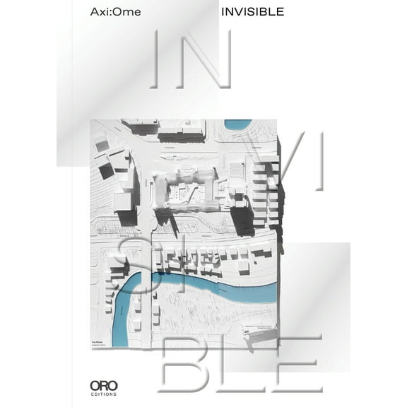 Invisible (Hardcover)