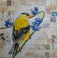 thumbnail image 2 of St Hilaire, Elizabeth 20x20 Black Ornate Wood Framed with Double Matting Museum Art Print Titled - Gold Finch US Mail, 2 of 4