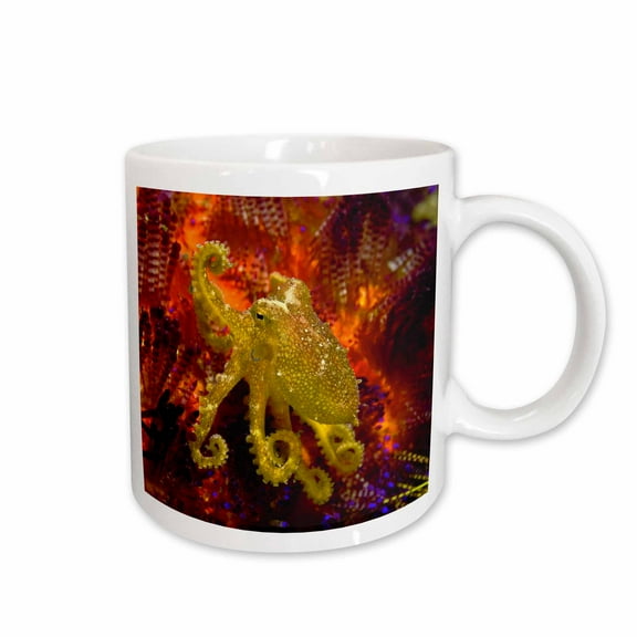 3drose, Indonesia, Pantar Island, Octopus, Marine Life-as11 Bja0095 - Janyes Gallery, 15oz Mug