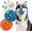 Blue+Orange+White, variant on Dog Balls Interactive Tennis Balls for Dogs, Dog Toys for Aggressive Chewers, Tough Puppy Chew Toys for Teething, 3" Fetch Ball Water Toy for Small/Medium Breed, High Bouncy & Floating, 3 Pack