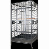 Photo inspiration: Picture Idea: A E Cage 4040Fl Platinum 40 X 40 In Macaw
