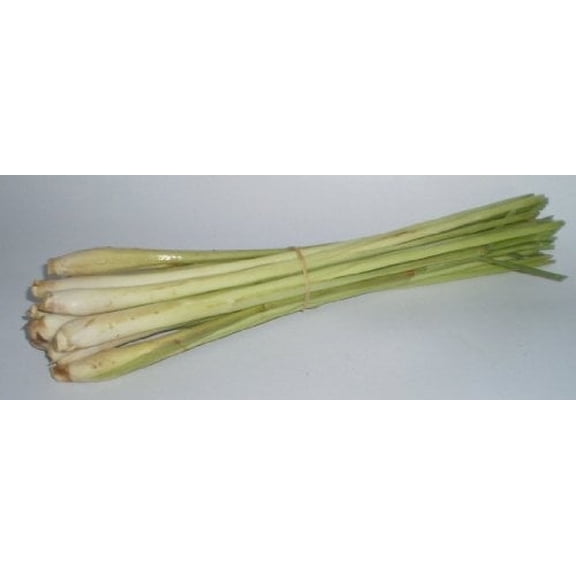 Lemon Grass Seeds - Cymbopogon Flexuosus - .04 Grams - Approx 100 Gardening Seeds - Herb Garden Seed