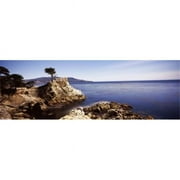Panoramic Images  Cypress tree at the coast The Lone Cypress 17 mile Drive Carmel California USA Poster Print by Panoramic Images - 36 x 12