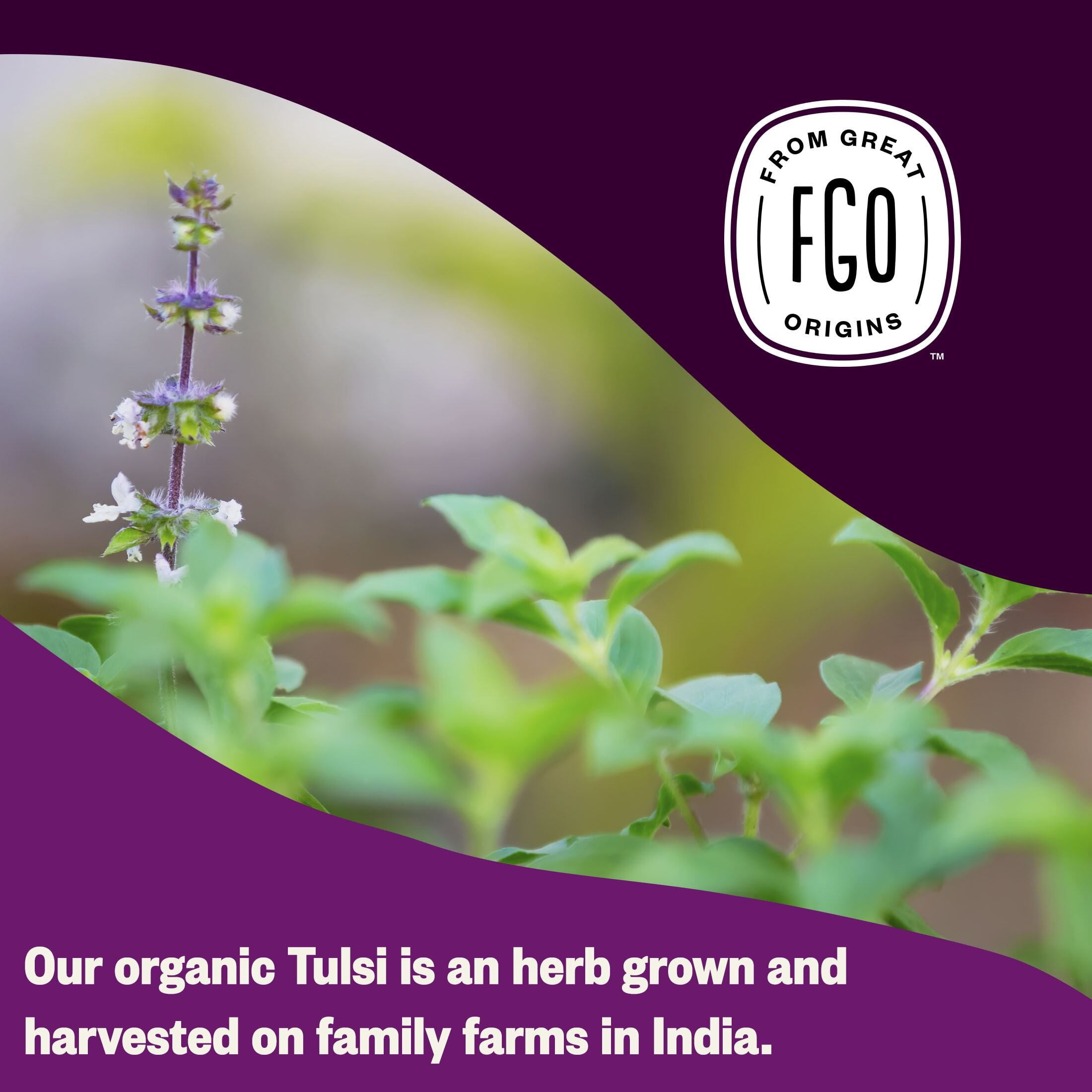 FGO Tulsi Tea, Organic, Eco-Conscious Tea Bags (100 Count)