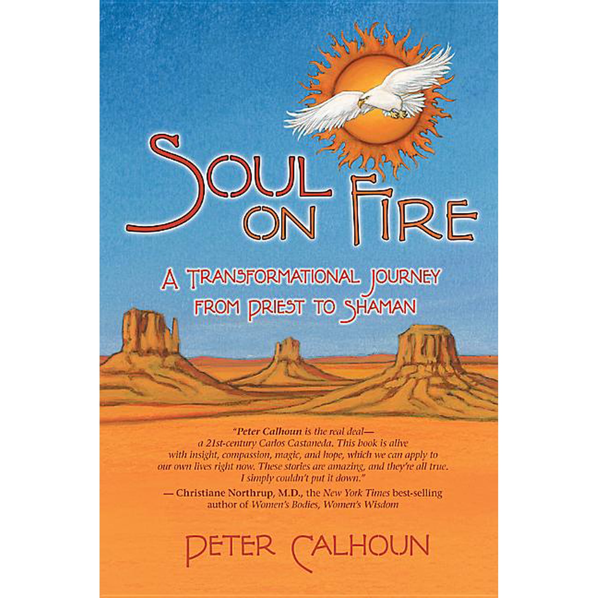 Soul on Fire: A Transformational Journey from Priest to Shaman (Paperback)