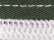 Evergreen/ White