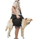 thumbnail image 2 of Eslinga de transporte para perros, mochila de emergencia, soporte y rehabilitación para piernas de mascotas, arnés de elevación para perros para cortar uñas, artritis, subir y bajar escaleras(XL), 2 of 4