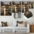 thumbnail image 4 of Designart "Photo Selfie Antelope " Animals Antelope Metal Art Living Room, 4 of 5