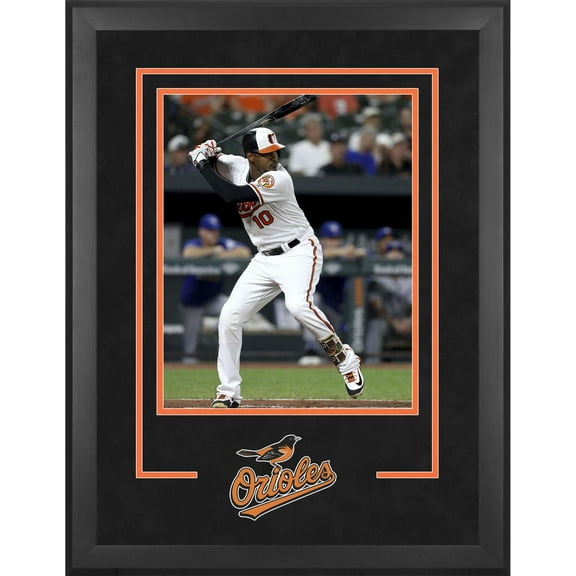 Baltimore Orioles Deluxe 16" x 20" Vertical Photograph Frame