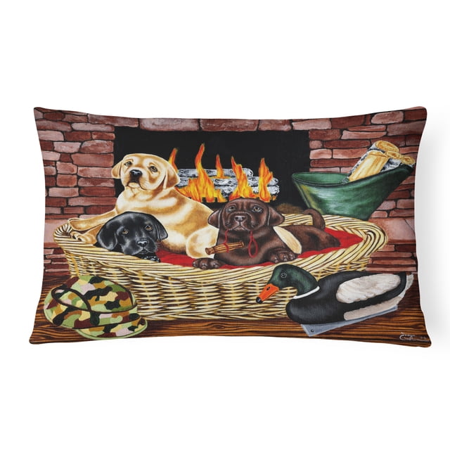 Carolines Treasures AMB1362PW1216 The Next Generation Labrador Fabric Decorative Pillow