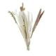 thumbnail image 2 of 30 piezas de hierba seca real, ramo de phragmites, plantas de caña, artesanías florales para Estilo D, 2 of 7
