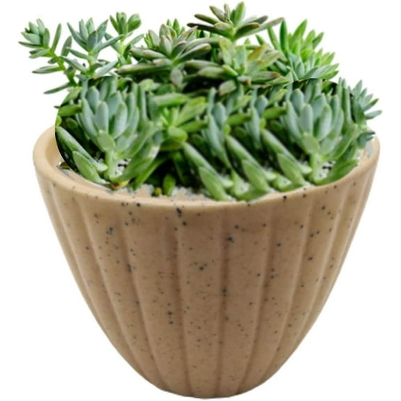 India Meets India Ceramic Flower Pot Planter Indoor Outdoor Planter Handicraft by Awarded Indian Artisan (Cream)
