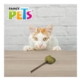 thumbnail image 4 of Paleta para Gato Fancy Pets Catnip Diseño de Gato, 4 of 4
