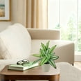 thumbnail image 5 of Mainstays 10in Indoor Artificial Plant in Pot, Green Color Calathea, 5 of 5