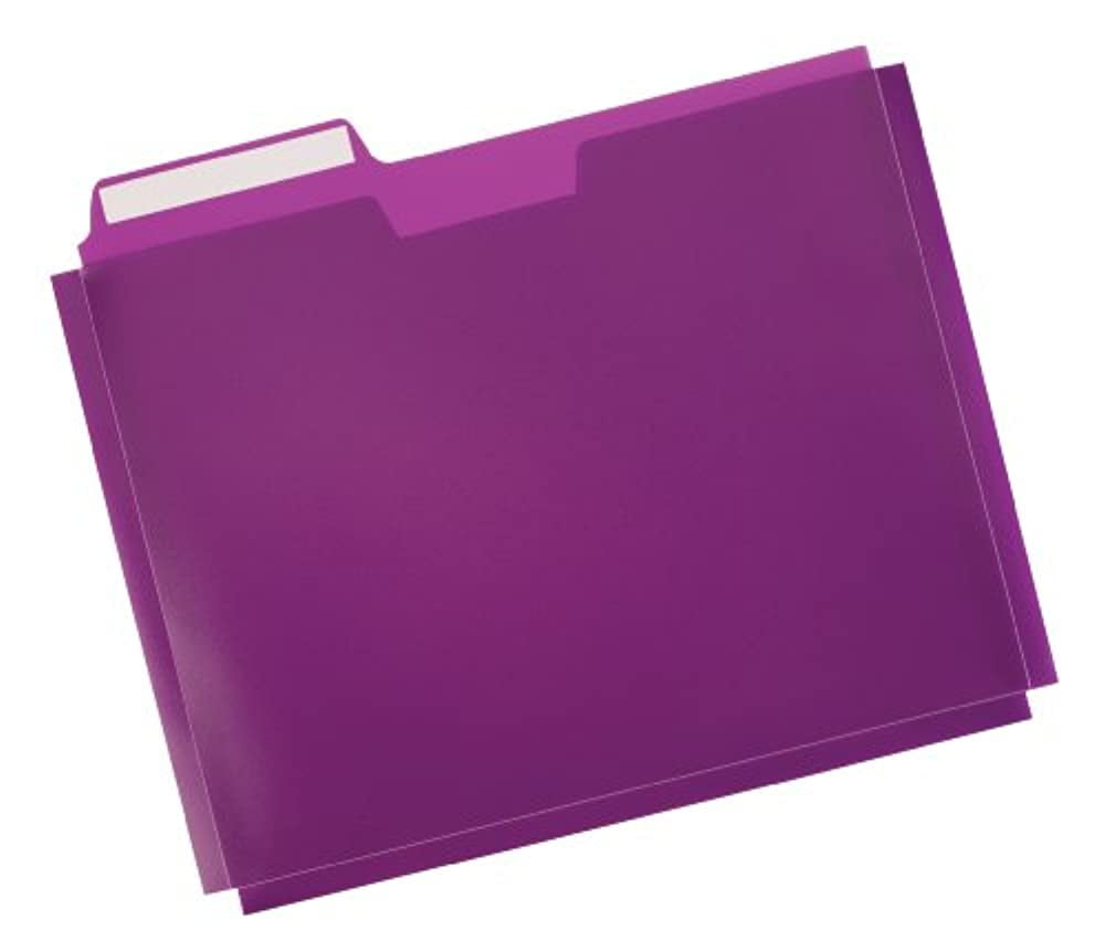 GlobeWeis Poly File Folder Pockets, Letter Size, Assorted Colors, 5