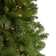 thumbnail image 4 of Northlight Real Touch™️ Pre-Lit Full Palisades Fir Artificial Christmas Tree - 7.5' - Clear Lights, 4 of 8