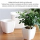 thumbnail image 5 of Inteprter Maceta transpirable con tiempo hidropónico prolongado: proporciona suficiente agua para las necesidades de las plantas Jardín y Patio Cuadrado blanco G105, 5 of 6