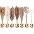 thumbnail image 3 of Pakyozj Dried Pampas Grass Decor, 128PCS Pampas Grass with Bunny Tails Dried Flowers, Reed Grass Bouquet for Wedding, Boho Flowers, Home Table Decor, Rustic Farmhouse Party, 3 of 5