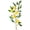 yellow 2, variant on Enamel Lemon Brooch Lightweight Alloy Lemon Brooch Pin Summer Fruit Lapel Badge Pin for Women Party Backpack Accessory