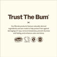 thumbnail image 4 of Sun Bum Blonde Shampoo I UV Protecting and Cruelty Free Color Enhancing and Toning Hair Wash for Blondes I 10 Oz, 4 of 7