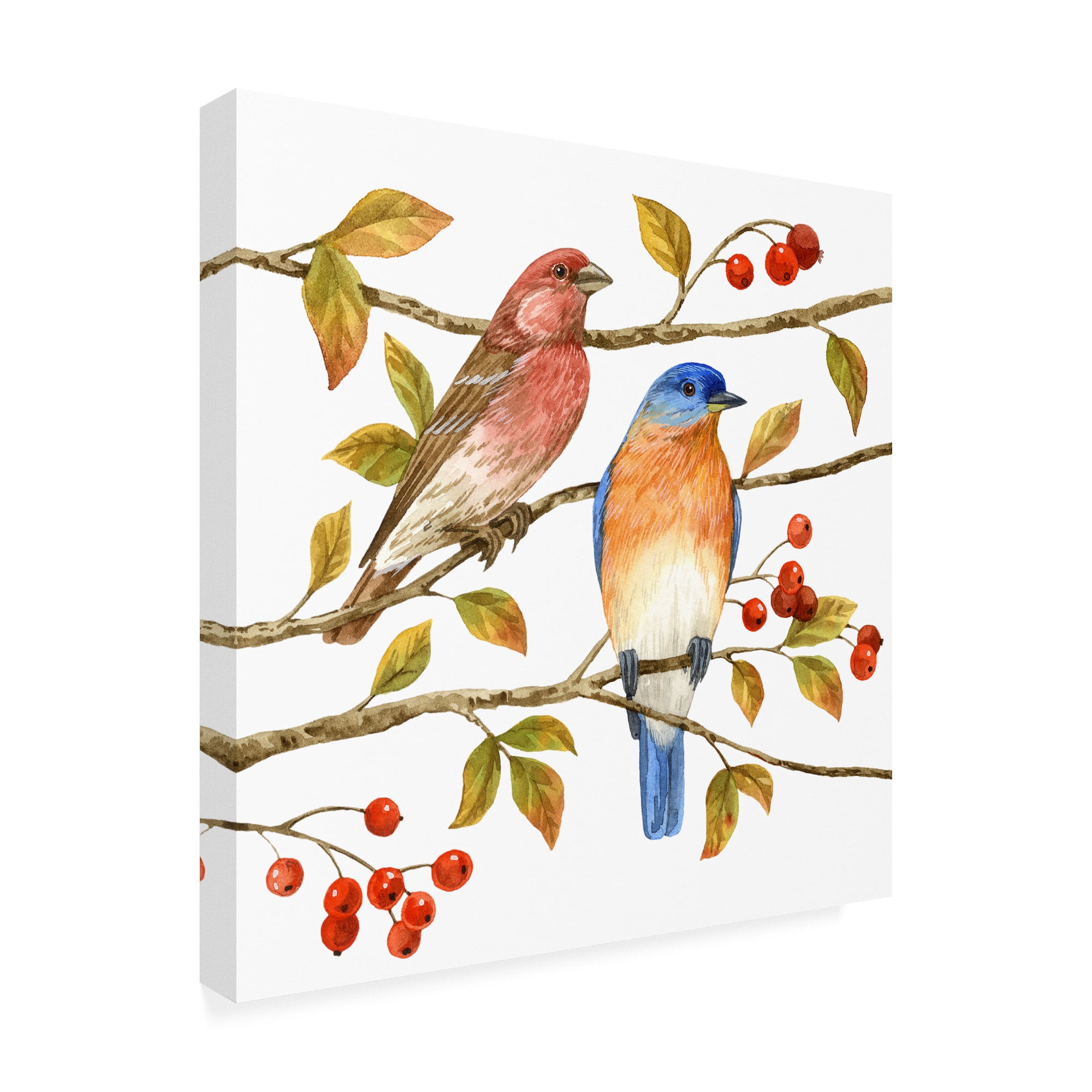 Trademark Fine Art 'Birds And Berries IV' Canvas Art by Jane Maday