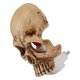 thumbnail image 1 of Lámpara De Noche De Calavera, Luz Nocturna De Esqueleto De Resina De Brillo Ajustable Para Halloween. Obra Decorativa única En Salón, Dormitorio, Bar., 1 of 7