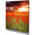 thumbnail image 2 of Wild Poppy Flowers At Cloudy Sunset - Large Flower Canvas Art Print, 2 of 3