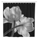 thumbnail image 1 of Cortina de Baño ABPHQTO Flores blancas y negras 160x180 cm, 1 of 1