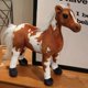 thumbnail image 1 of Horse Plush Doll: Brown Zodiac Horse - Stuffed Animal - 2026 Chinese Lunar New Year Mascot Toy - For Spring Festival Home Decor 26x26cm, 1 of 3