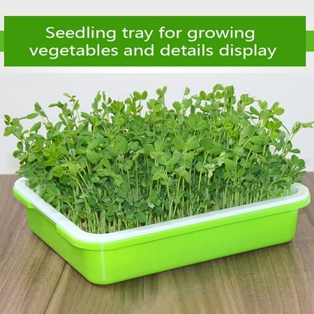 Comaie Seed Sprouter Kitchen Seed Sprouting Tray Soil-Free Garden Seed ...