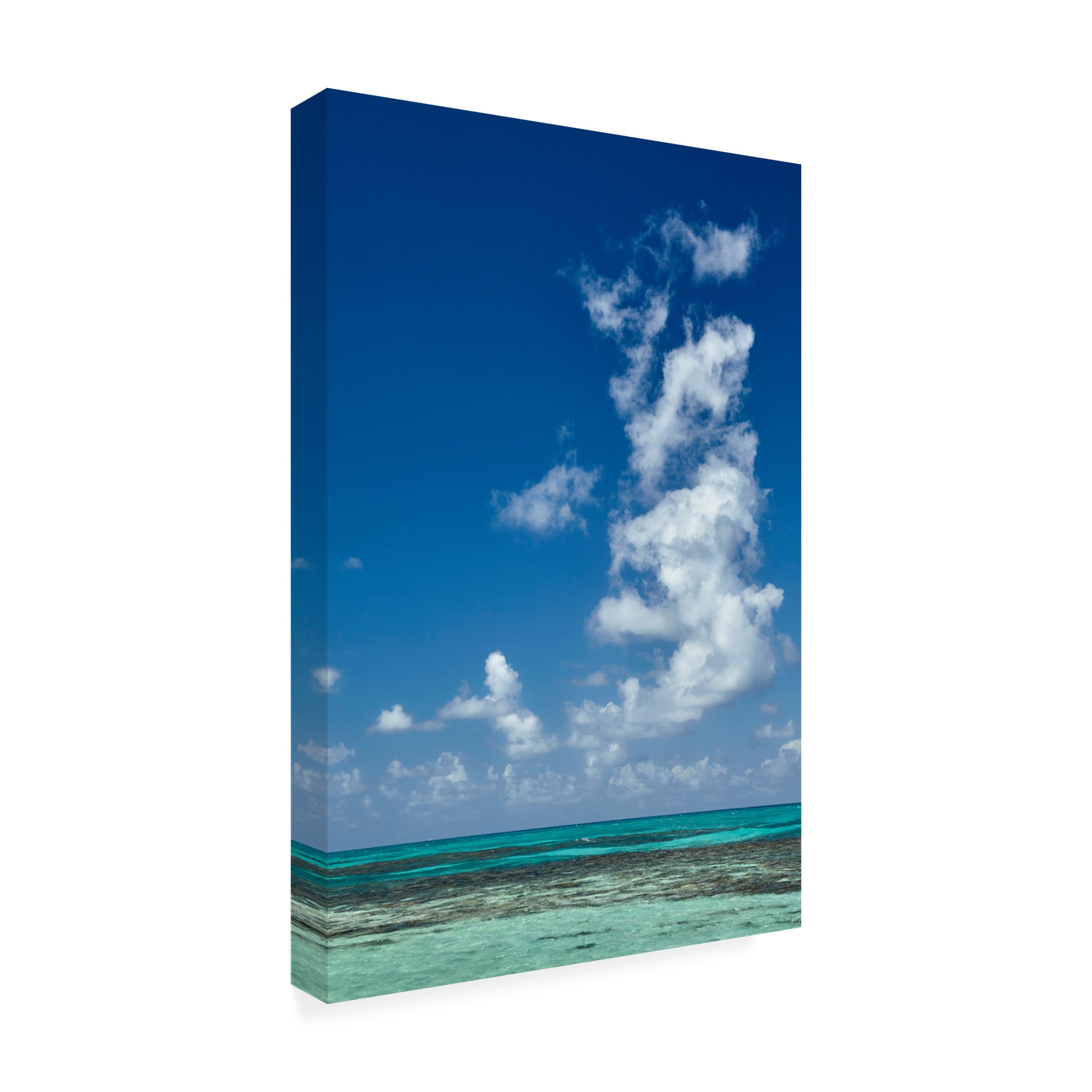 Canvas Wall Art - Kent Burkhardsmeier 'Coral Blue' Wall Art for Living Room, Bedroom, or Office Décor by Trademark Fine Art - 16 x 24 Inches