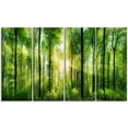 thumbnail image 3 of Design Art Forest with Rays of Sun Panorama Landscape Canvas Print, 3 of 3
