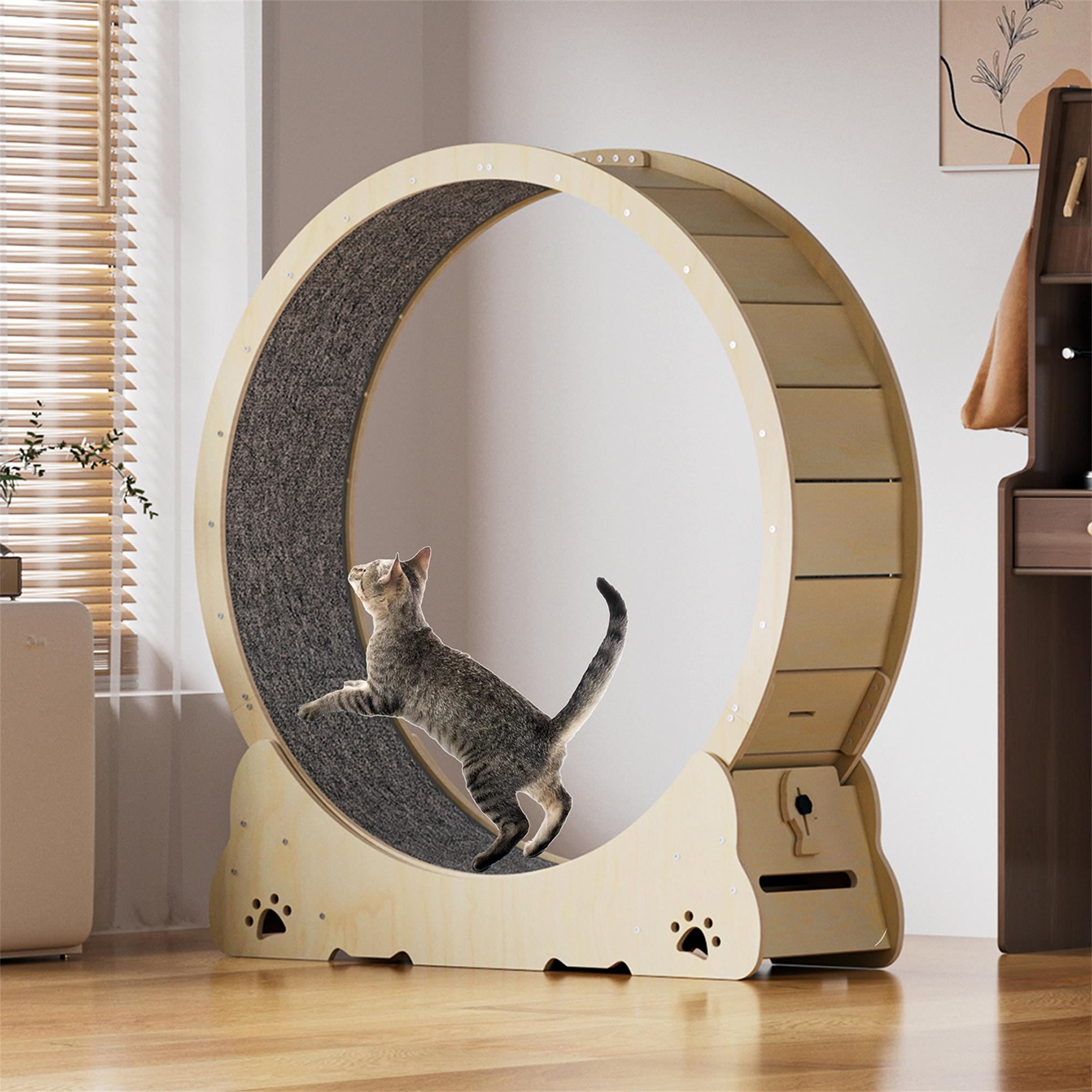 Kadyn 41" Cat Exercise Wheel for Indoor Cat, Large Cat Running Wheel with Carpeted Runway, Cat Treadmill Wheel for Kitty’s Longer Life, Cat Wheel for Fitness Weight, Beige
