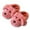 A-Watermelon Red, variant on WZEIIOT Toddler Girls Cute Fuzzy Slippers Cartoon Dog Winter Warm Cozy Bedroom House Shoes Kids Boys Girls Comfortable Closed Back Plush Slipper Home Shoes Us Size:11.5