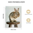 thumbnail image 2 of Nawypu  Sylvie Shy Bunny Rabbit Animal Print Portrait Framed Canvas Wall Art, 2 of 5