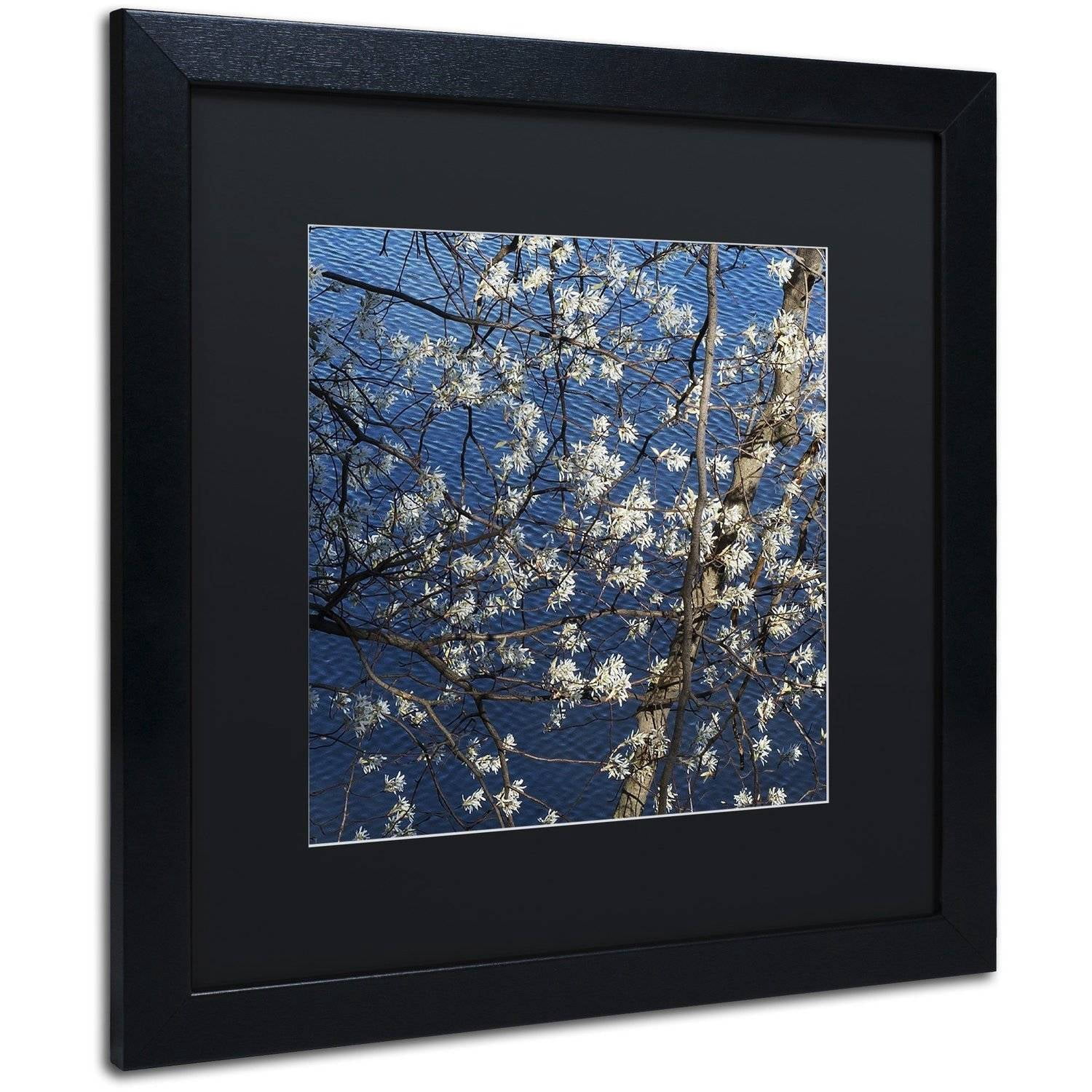Trademark Fine Art "Springtime at the Lake" Canvas Art by Kurt Shaffer, Black Matte, Black Frame