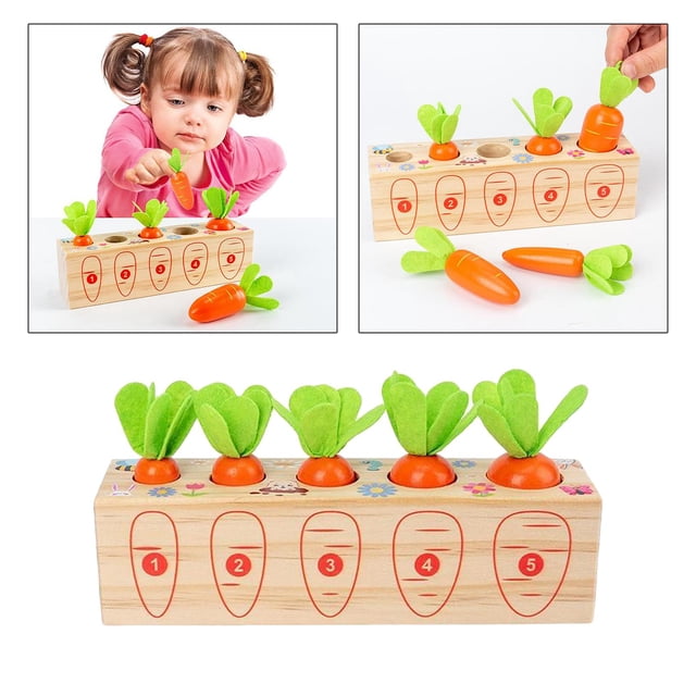 educativo de para desplumar zanahorias, rompecabezas de a , s de clasificación de formas de tamaño, para de 4 a 6 Salvador Juego de madera para arrancar zanahorias