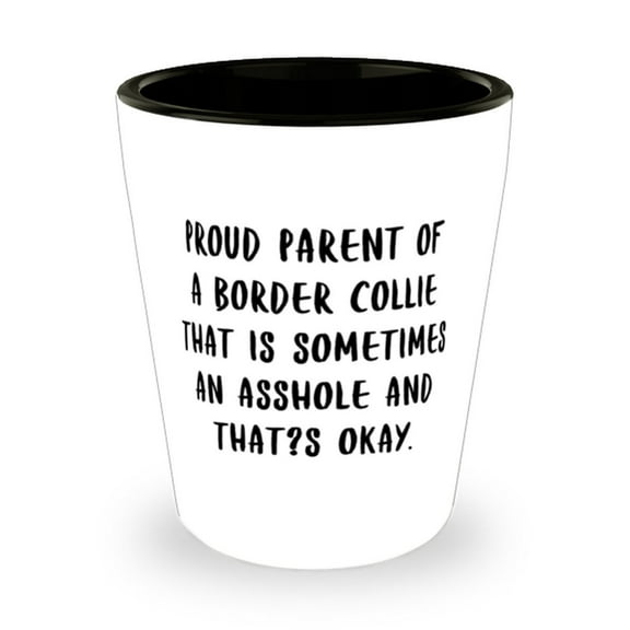 Reusable Border Collie Dog Gifts, Proud Parent Of A Border Collie That Is Sometimes An., Unique Shot Glass For Pet Lovers From Friends