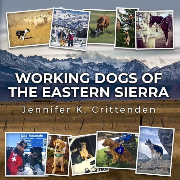 Working Dogs of the Eastern Sierra (Paperback)