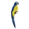 thumbnail image 1 of Pájaro artificial decorativo,Simulación de aves,Modelo de pájaro realista, de pájaro en miniatura,Pájaros de plumas artificiales,Adornos decorativos para pájaros,Pájaros de 3 piezas Sunnimix Pájaro artificial decorativo, 1 of 8