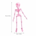 thumbnail image 3 of Halloween Skeleton Decorations 6 Inch White 3D Printed Skeleton Action Figure Refrigerator Cute Halloween Decor for Kitchen Home Party 1 Pack, 3 of 8