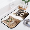 thumbnail image 4 of GZHJMY Bathroom Rugs Mats Non-Slip, Soft Microfiber Absorbent Bath Mats for Shower Bathtubs, Cat Raccoon Cute Indoor Entrance Door Mats Bedroom Laundry 36”x24” Carpet Runner, 4 of 7