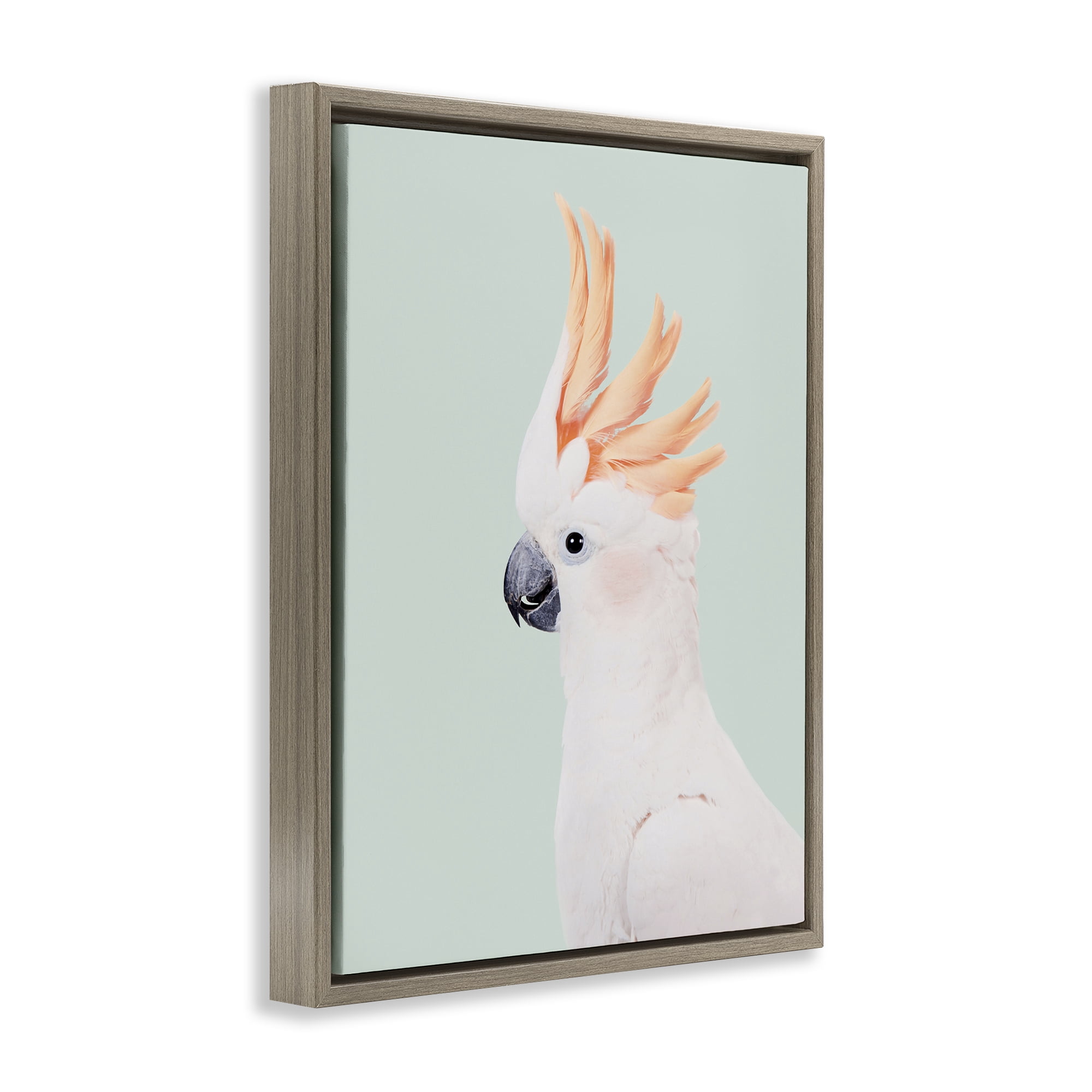 Stupell Industries White Cockatoo Portrait Animals Painting Brown Floater Framed Canvas Art Print Wall Art, 17 x 21